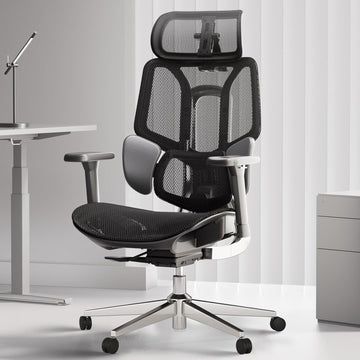 Ergonomic Chairs for Ultimate Comfort and Support