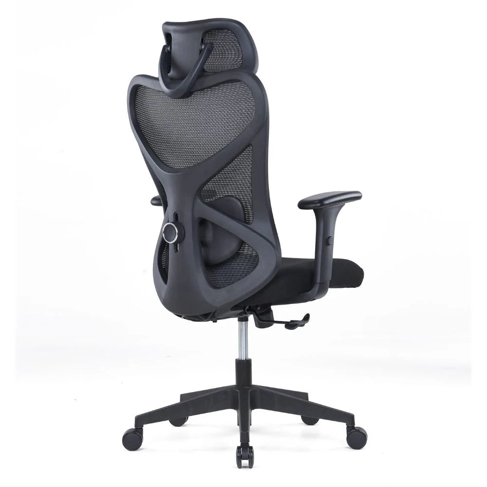 Lina Ergonomic High Back Chair (Black)