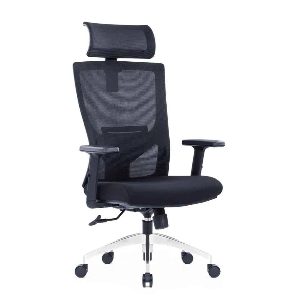 Ella Ergonomic High Back Chair (Black)