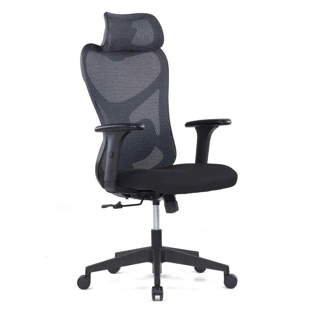 Lina Ergonomic High Back Chair (Black)