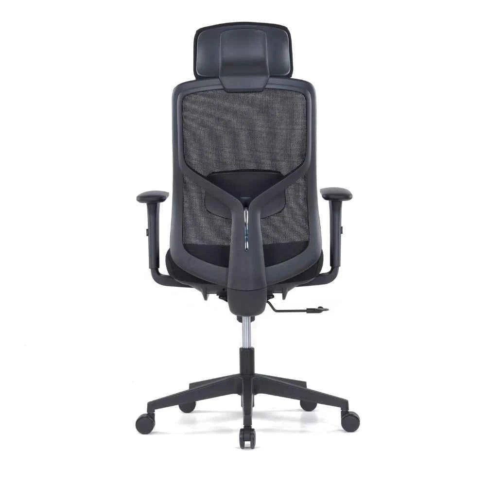 Ava Ergonomic High Back Chair (Black)