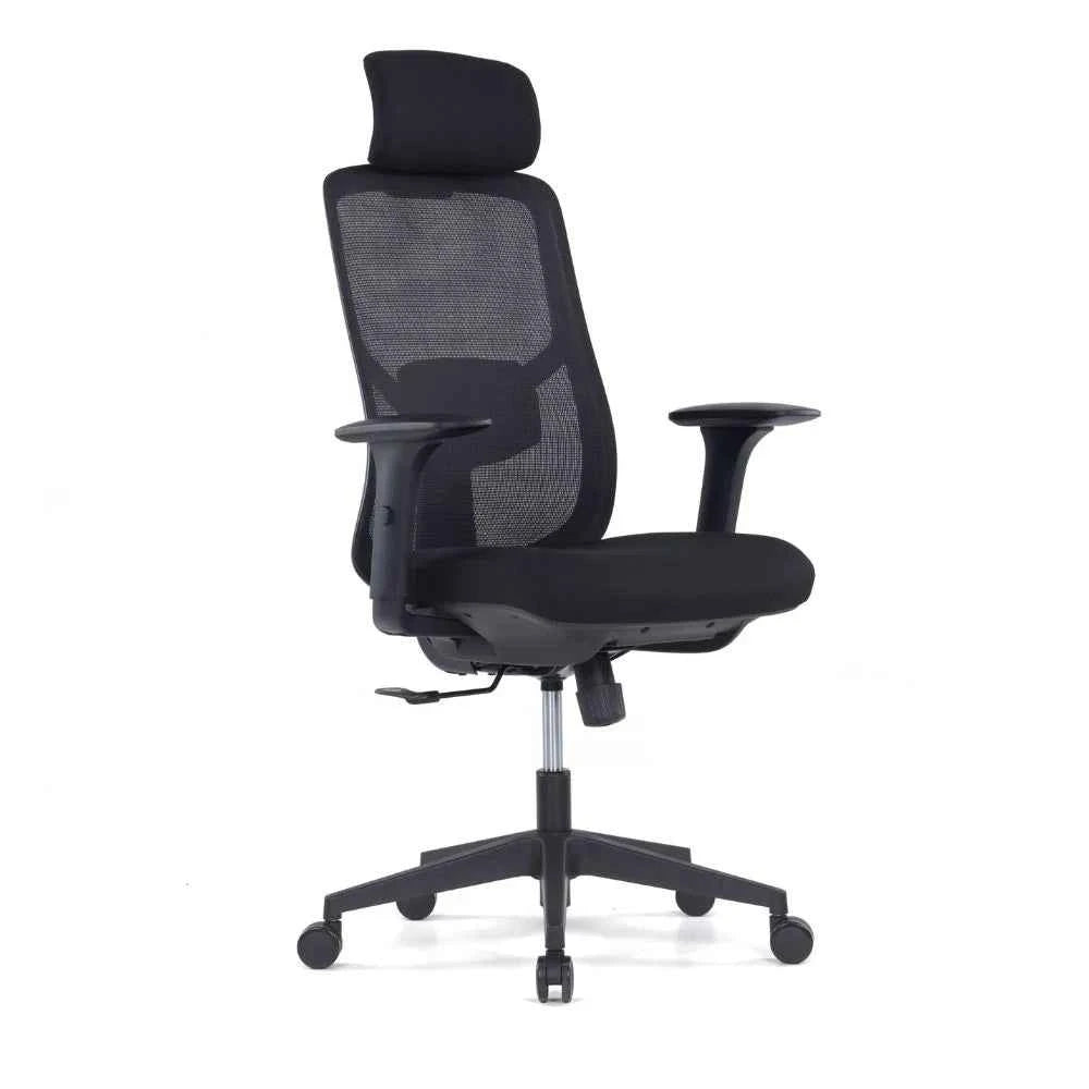 Ava Ergonomic High Back Chair (Black)