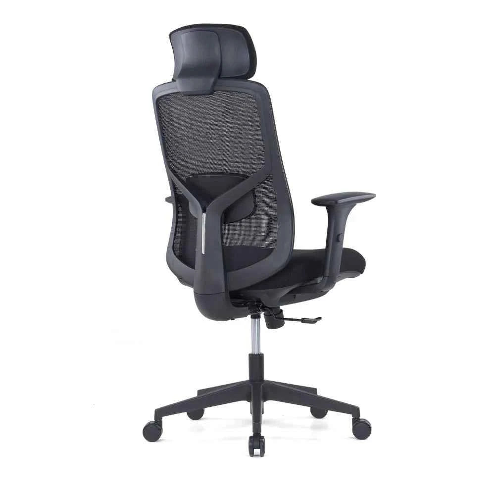 Ava Ergonomic High Back Chair (Black)