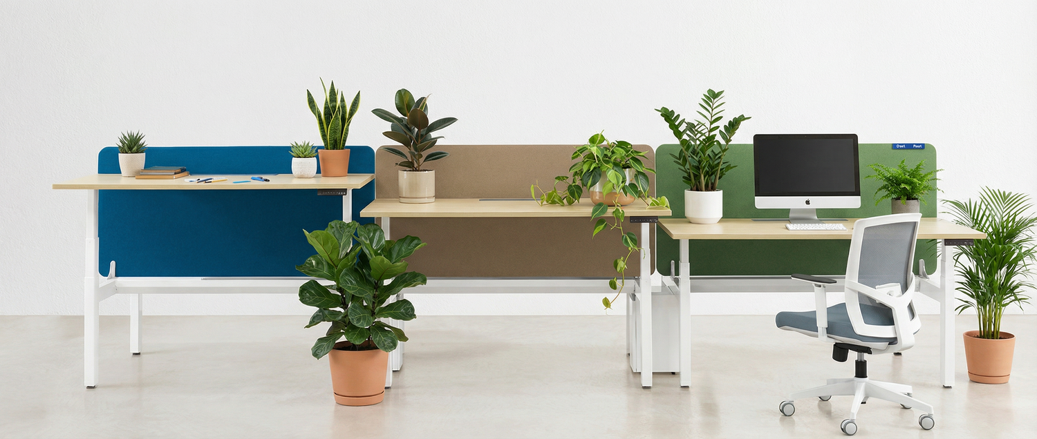 image comparison before