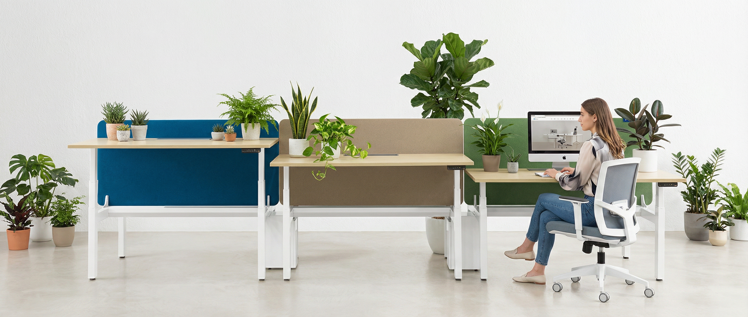 image comparison after