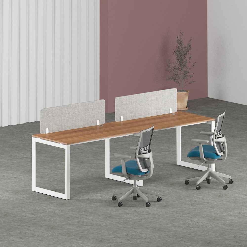 Solana Workstation In Loop Leg-2 Person (Linear Type)