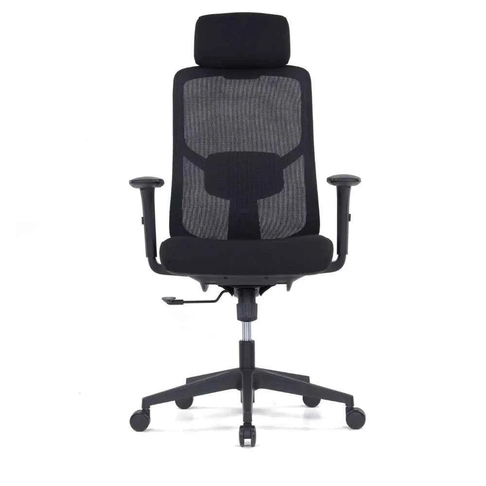 Ava Ergonomic High Back Chair (Black)