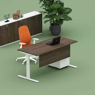 Electric Height Adjustable Desk